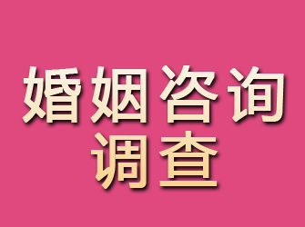 都安婚姻咨询调查